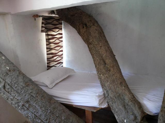 Junglee Resort Rajaji National Park Rishikesh Room photo